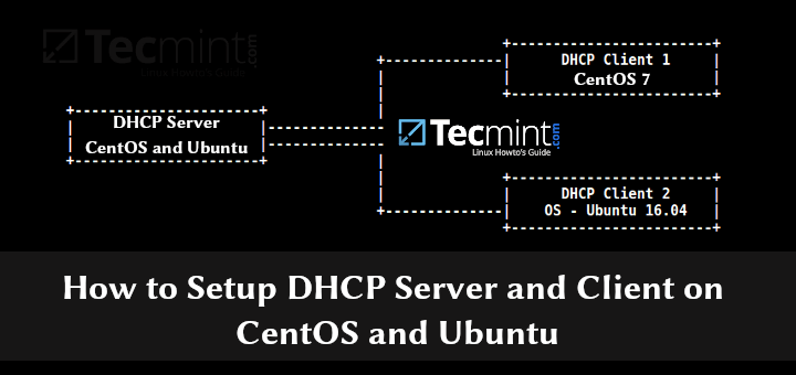 So richten Sie DHCP Server und Client unter CentOS und Ubuntu ein