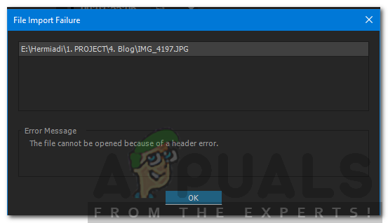 So beheben Sie “Die Datei kann aufgrund eines Header-Fehlers nicht geöffnet werden” in Adobe Premiere
