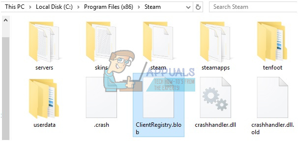 Fix: ClientRegistry.blob fehlt im Steam-Verzeichnis