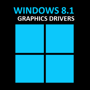 So beheben Sie das Update des Grafiktreibers, das unter Windows 8 einen schwarzen Bildschirmfehler verursacht