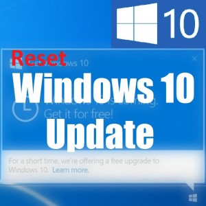 Beim Versuch, Windows Update zurückzusetzen, kann die Lizenzvereinbarung nicht akzeptiert werden