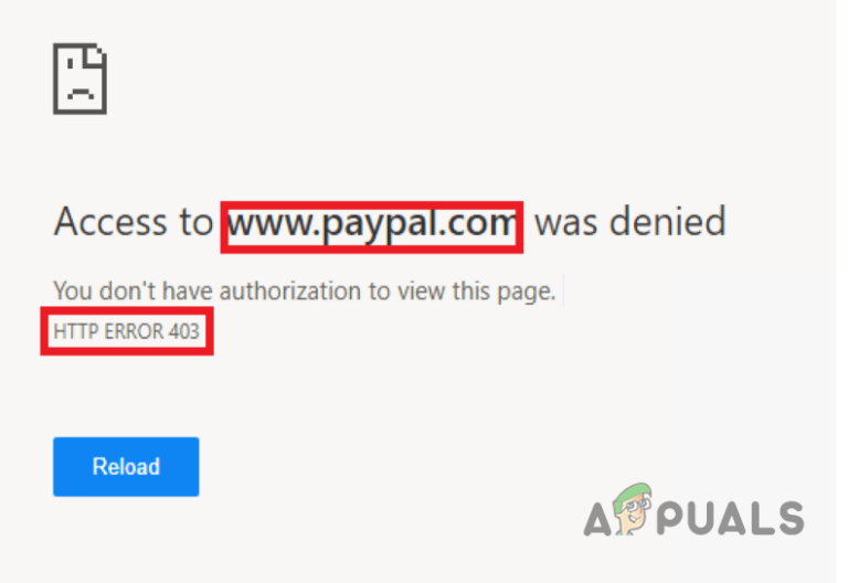 So beheben Sie den 403 Forbidden Error bei PayPal