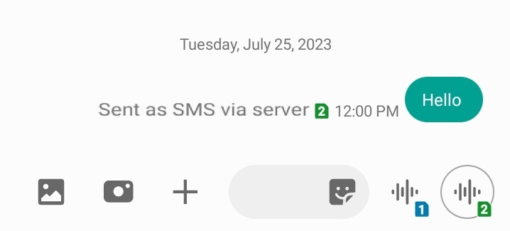 Was bedeutet „Als SMS über Server verschickt“ bei SMS?